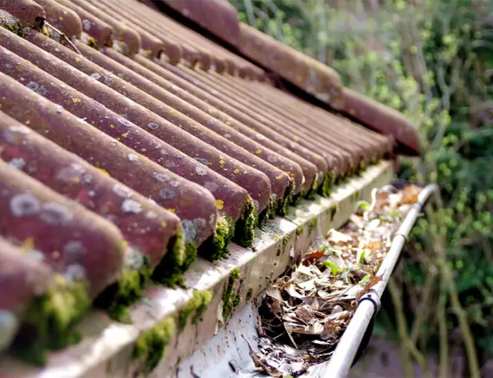 Nettoyage de gouttière à Arvert