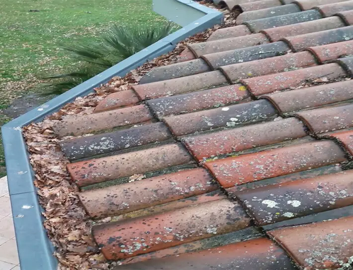 Entreprise de nettoyage de gouttière à Arvert