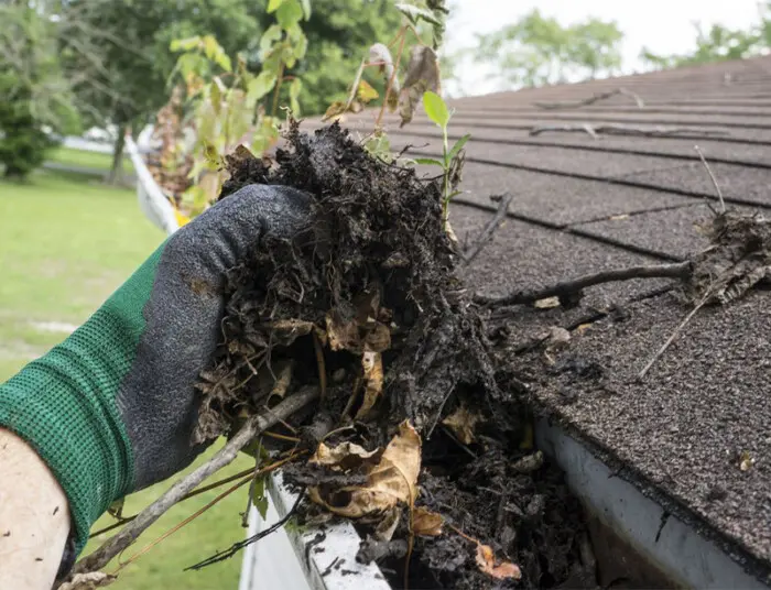 Devis nettoyage de gouttière Arvert